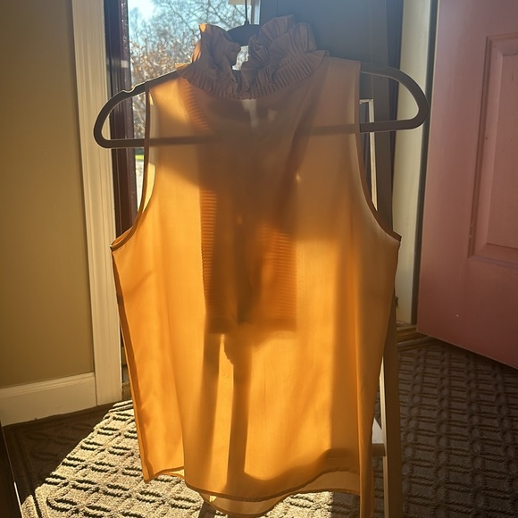 J. Crew silk sleeveless blouse - Picture 4 of 13